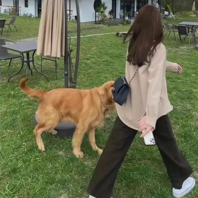 信赖